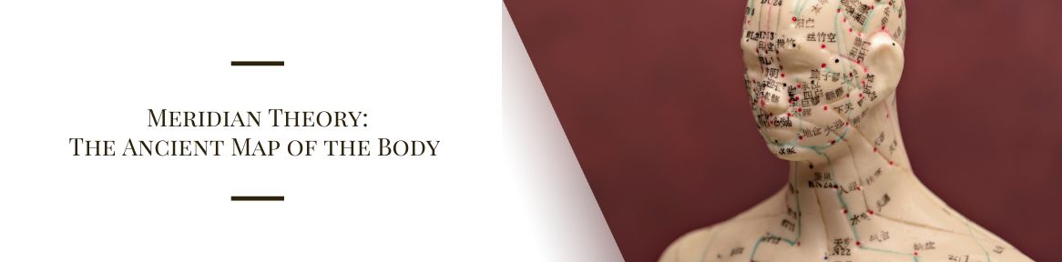 Meridian Theory: The Ancient Map of the Body 